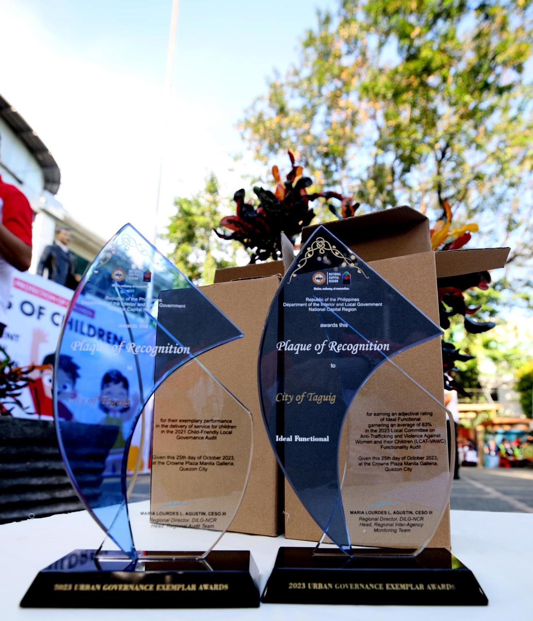 83% of Ideal Rating of Functional Score in the 2023 Local Committees on Anti-Trafficking and Violence Against Women and Their Children (LCAT-VAWC) Functionality Audit