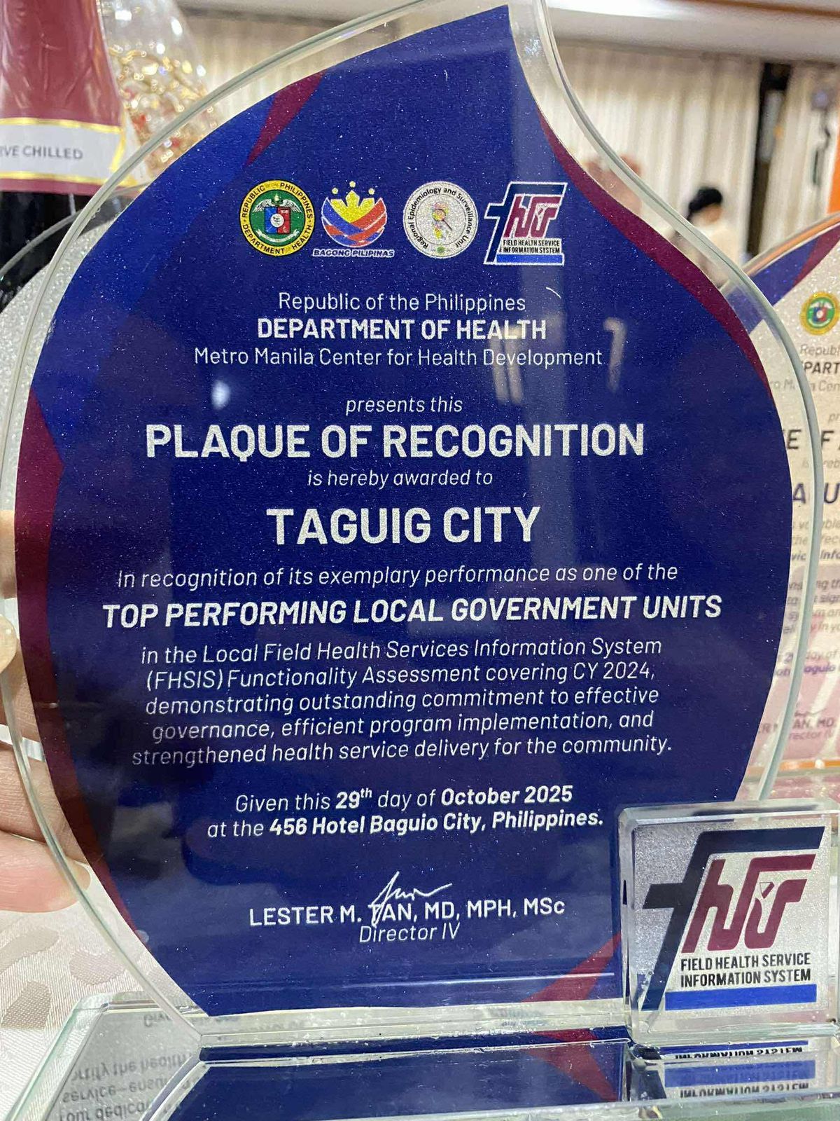 Top Performing Local Government Unit in the Field Health Services Information System (FHSIS) Functionality Assessment 2024